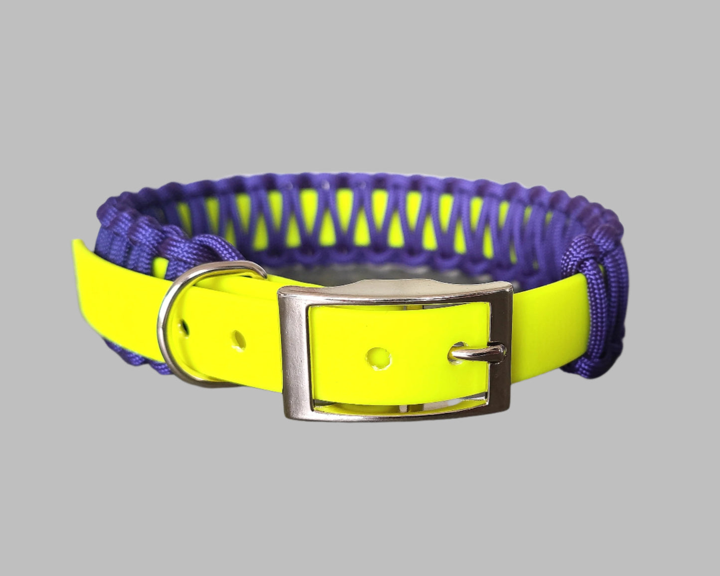 BioThane and Paracord Dog Collar