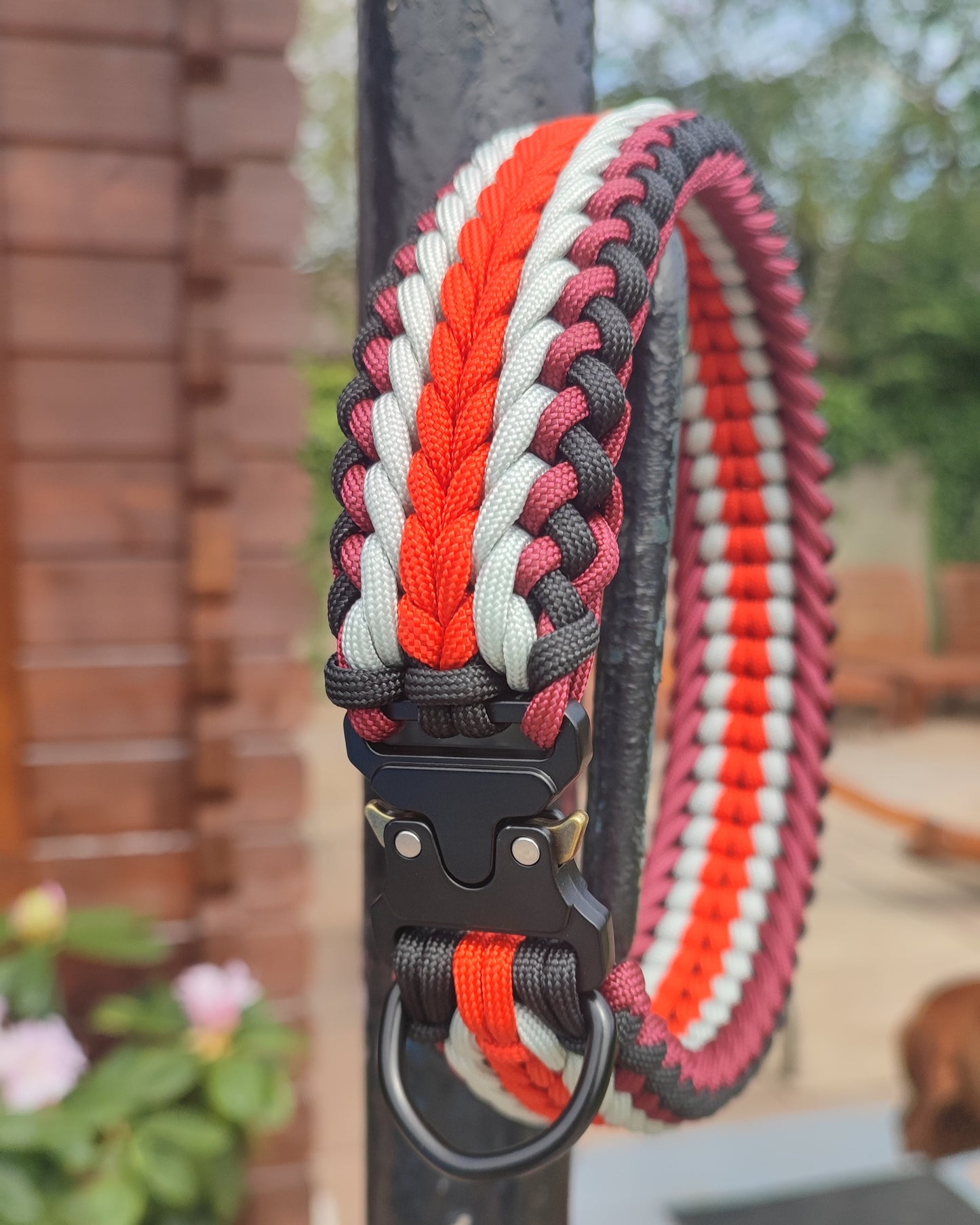 Paracord Collar with Cobra Style Buckle