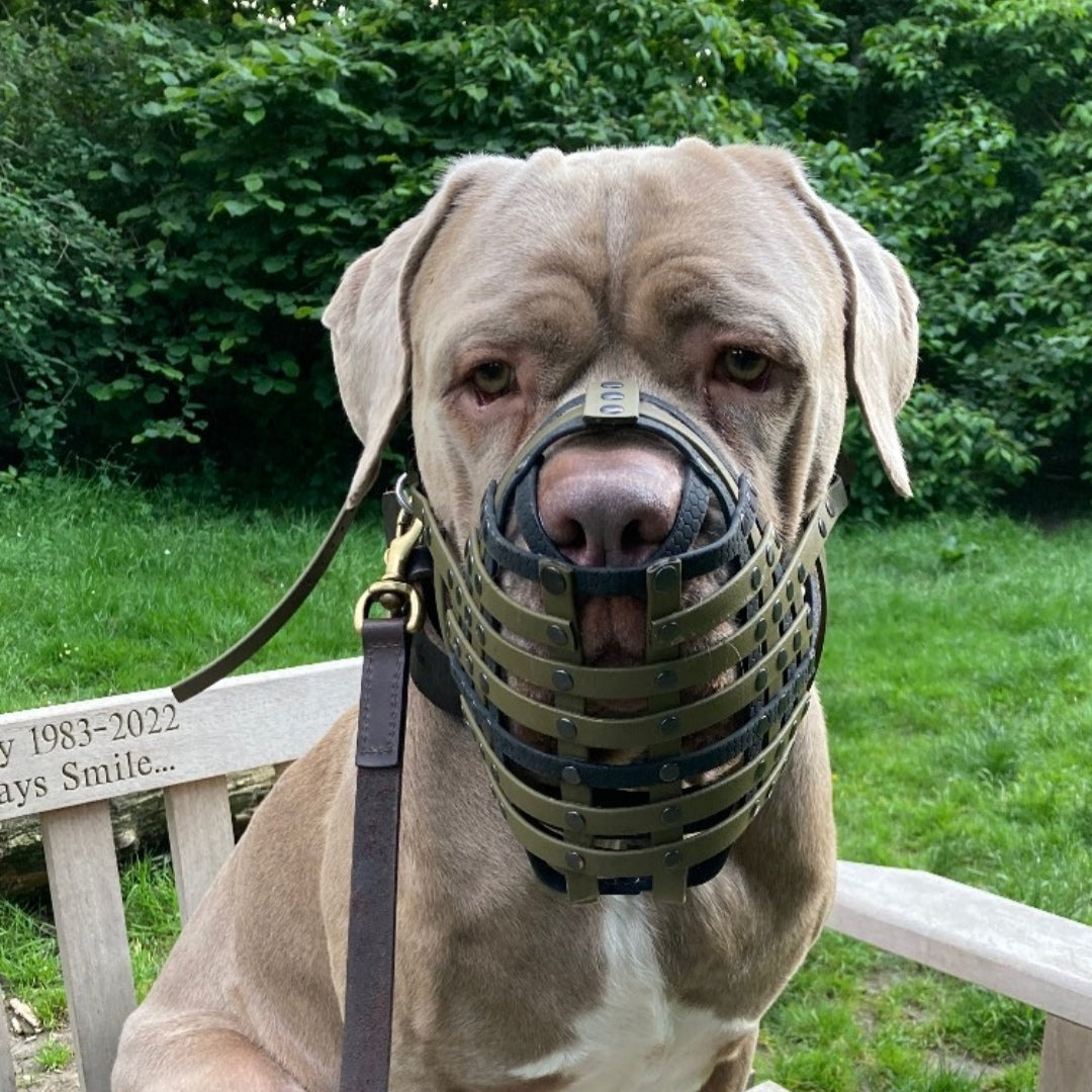 BioThane or Hexa Webbing Muzzle