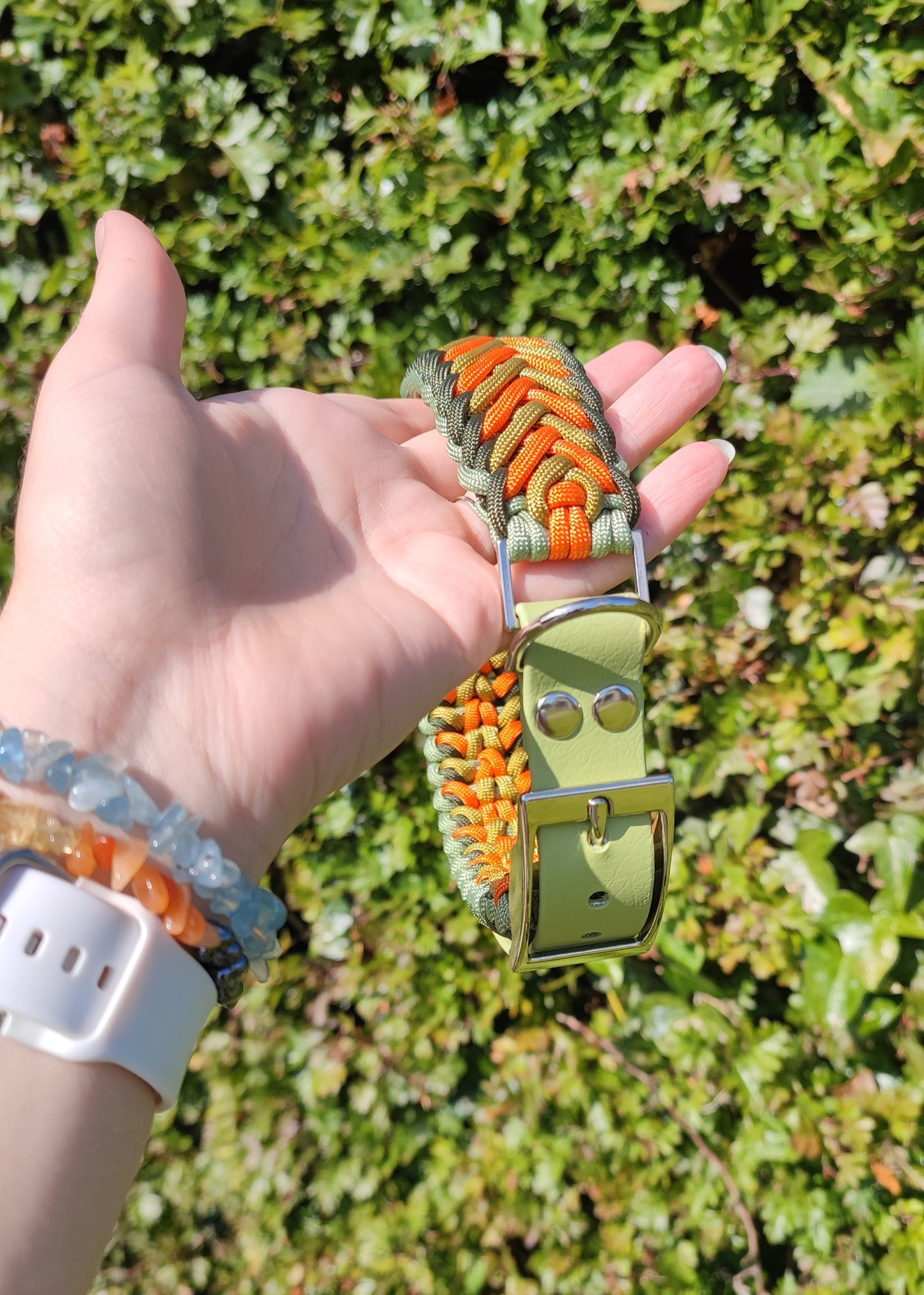 Paracord and BioThane Collar - Adjustable