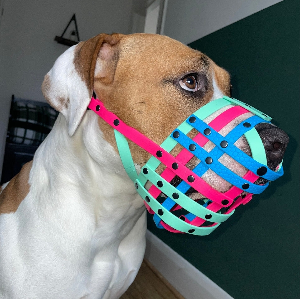 BioThane or Hexa Webbing Muzzle