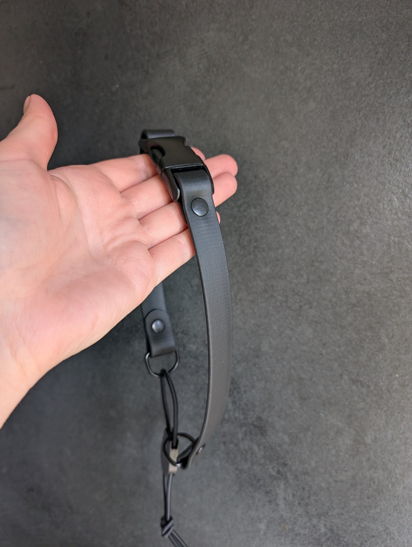 BioThane Bungee E-collar Collar