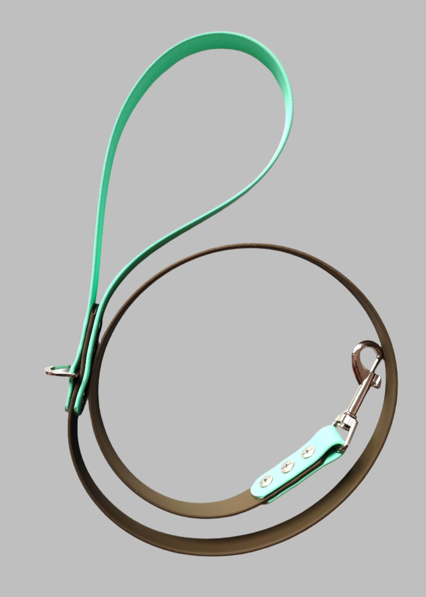 BioThane Lead - 19mm