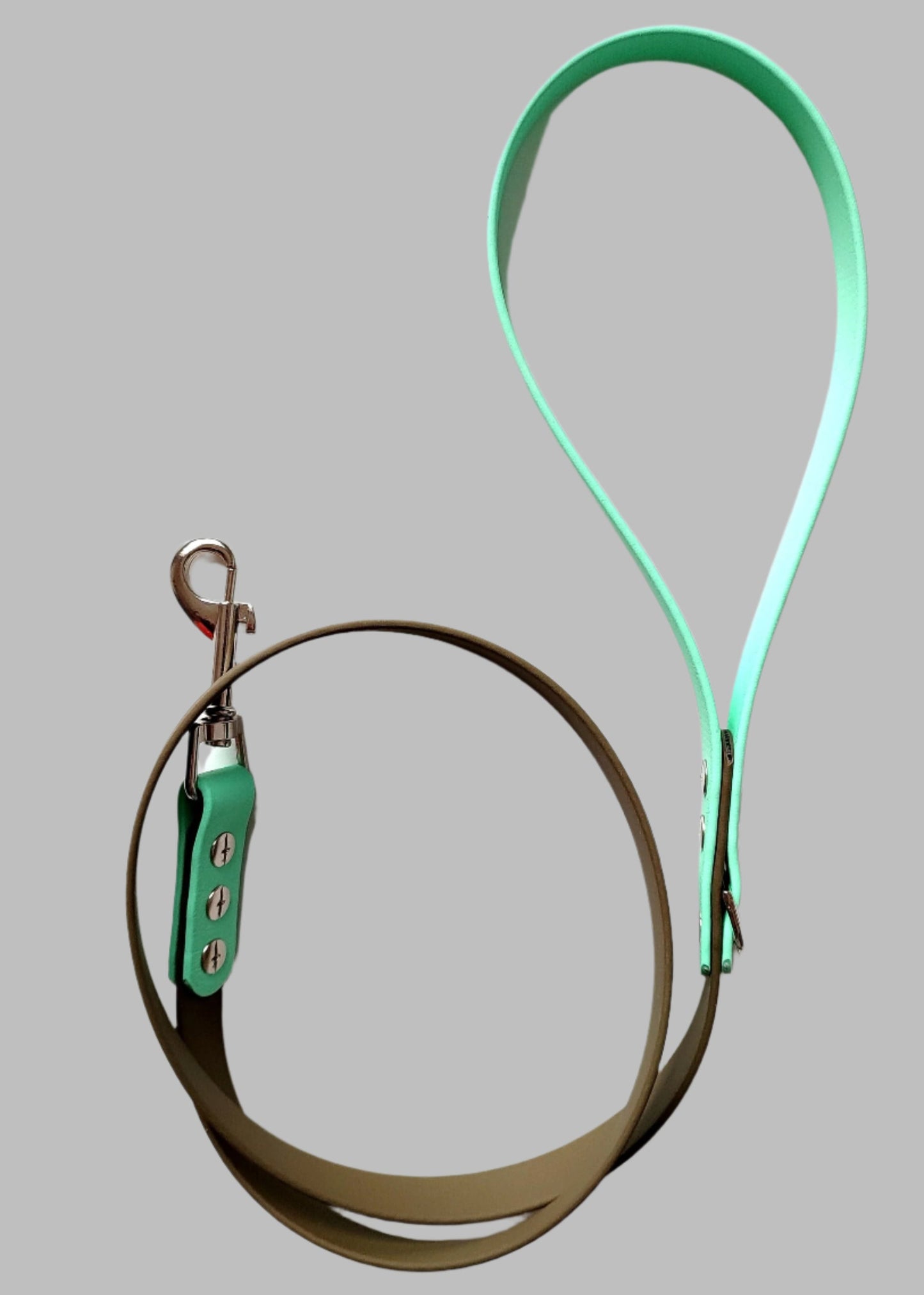 BioThane Lead - 19mm
