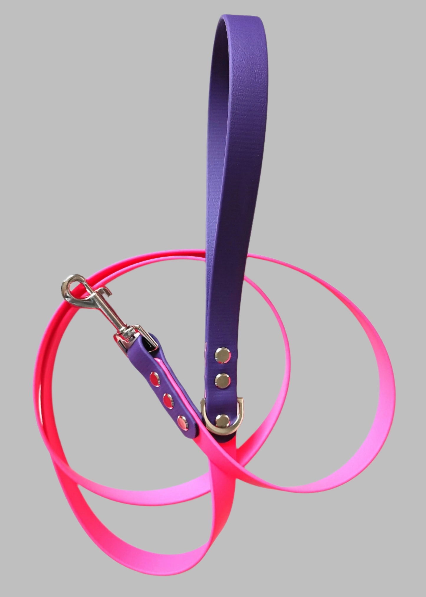 BioThane Lead - 19mm