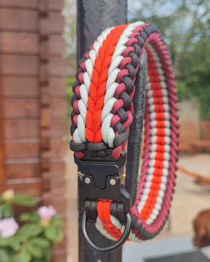 Paracord Collar with Cobra Style Buckle