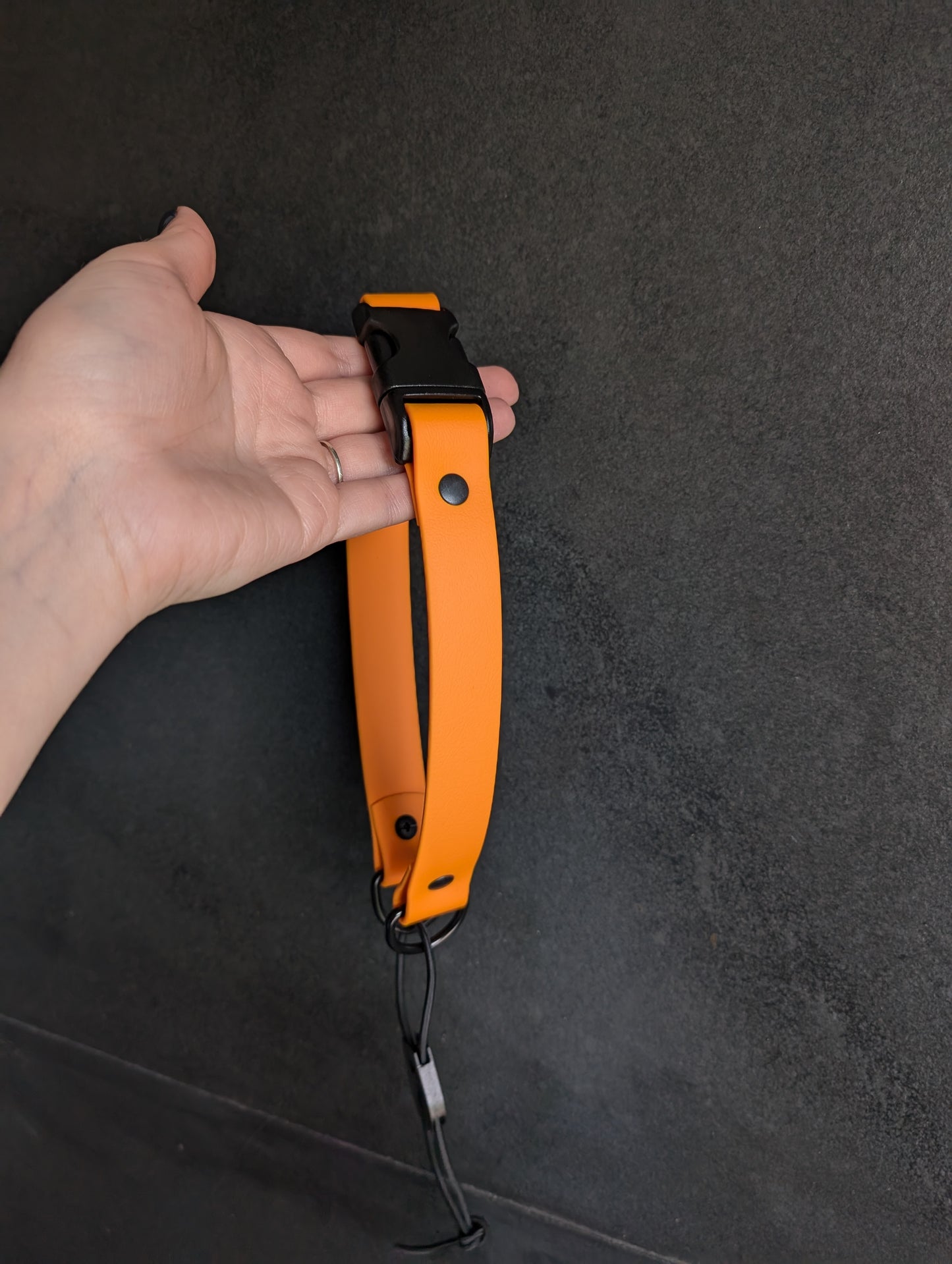 BioThane Bungee E-collar Collar