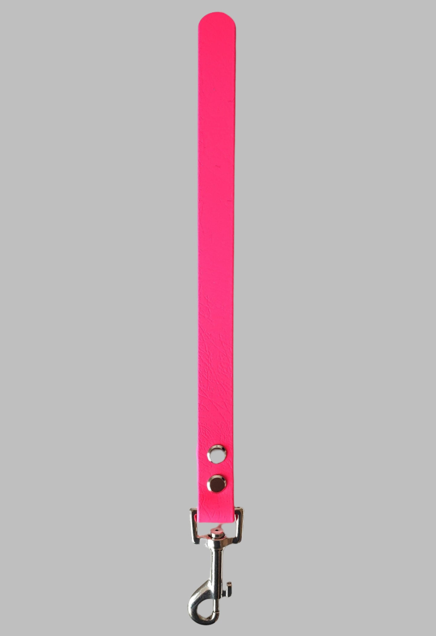 Biothane Training Tab