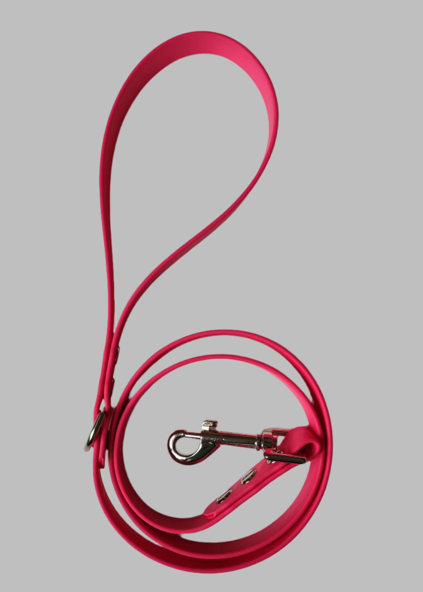 BioThane Lead - 19mm